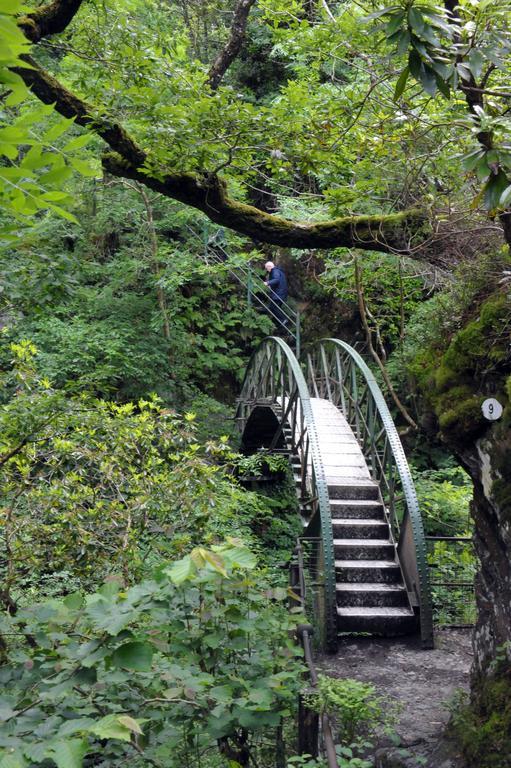 Devils Falls At The Luxury Hafod Aberystwyth