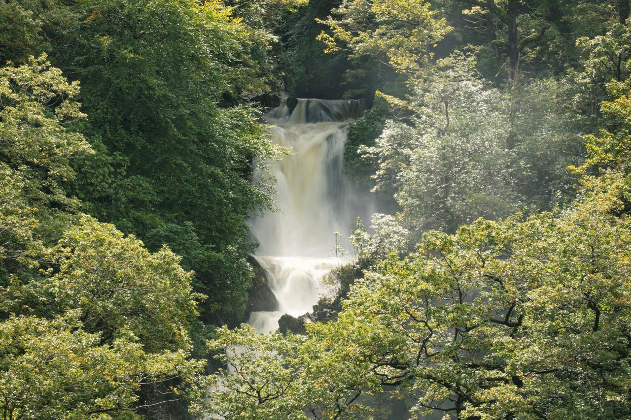 Landhuis Devils Falls At The Luxury Hafod Aberystwyth